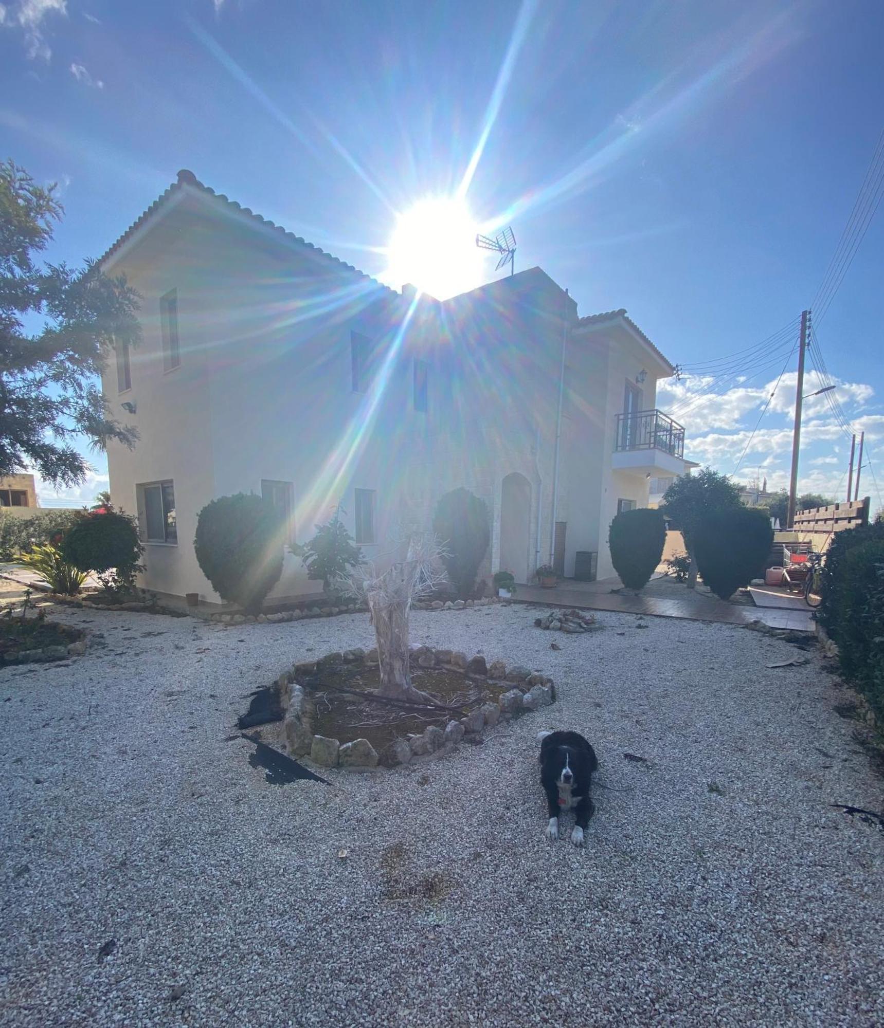 Villa Ariadni Pissouri Eksteriør billede